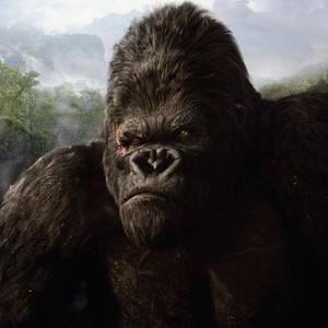 Meet your Posher, Hau